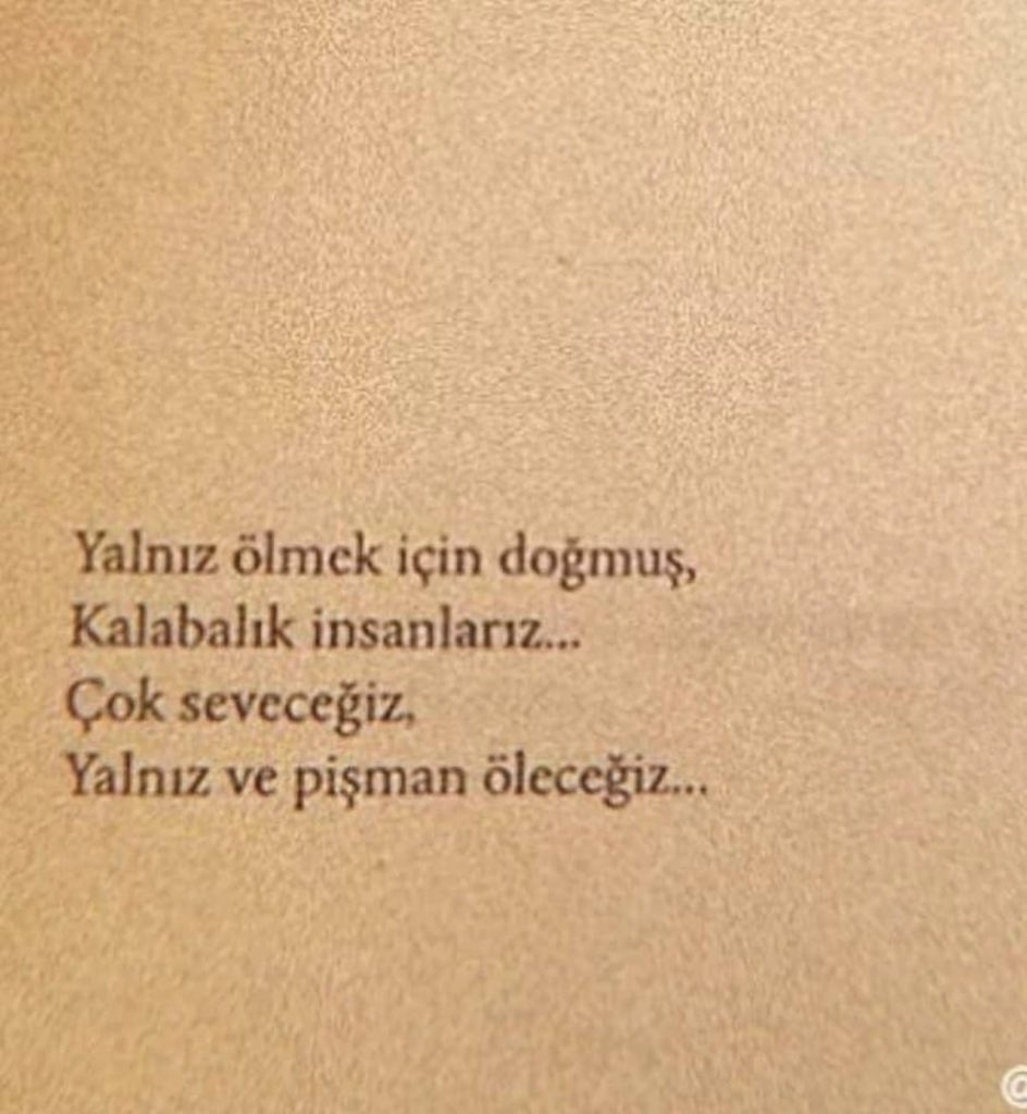 Yavuz