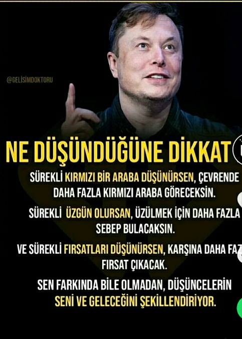 ŞEHRİZADE