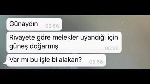Nur