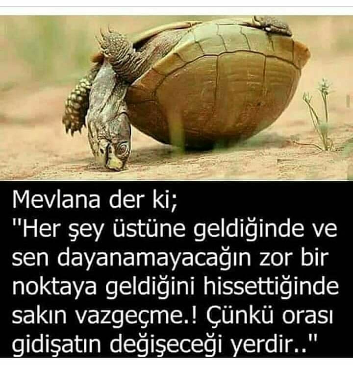 Gülten