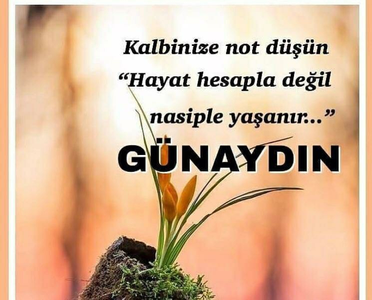 Aynur