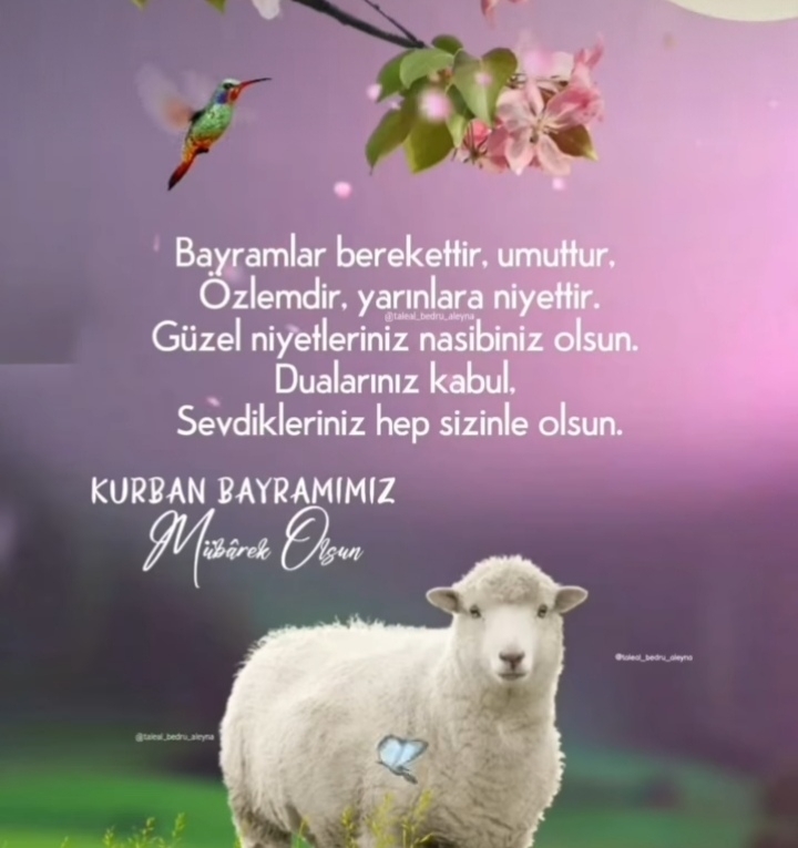 Ssüleyman