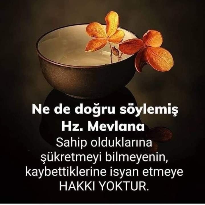 Binnaznur