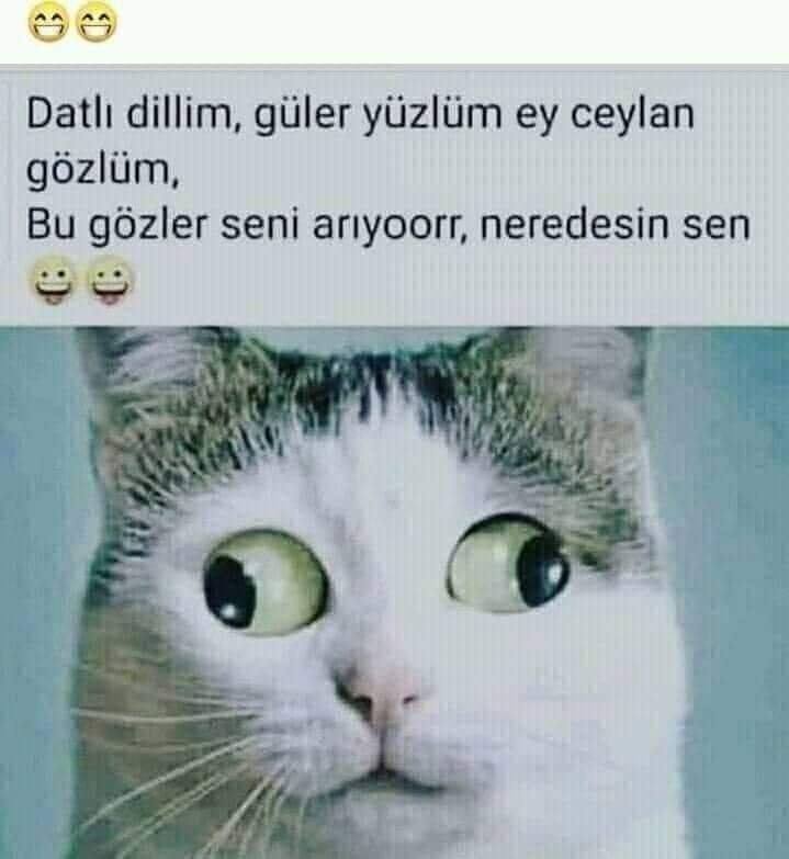 Deniz