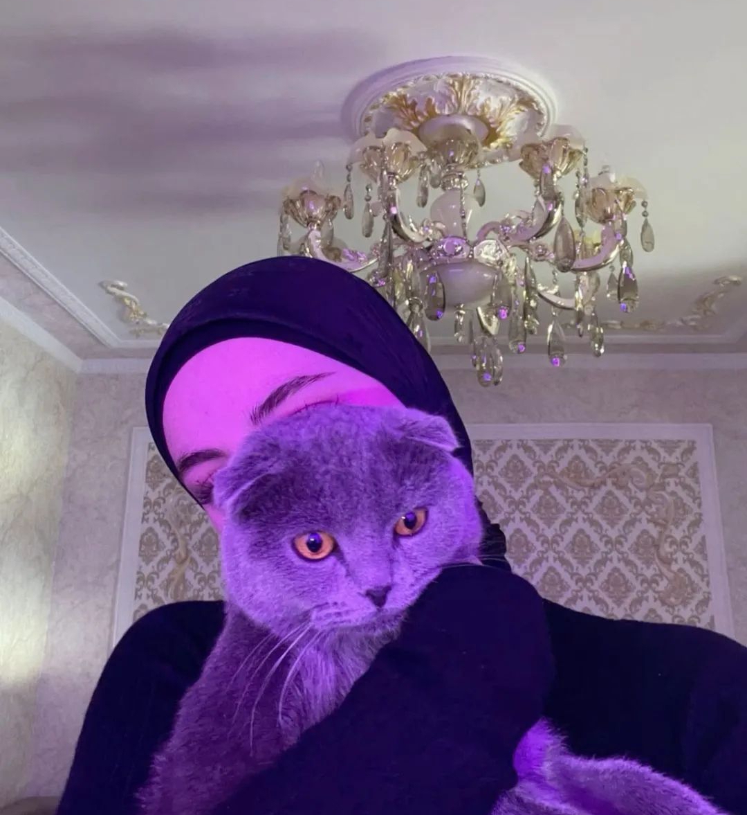 Zehra