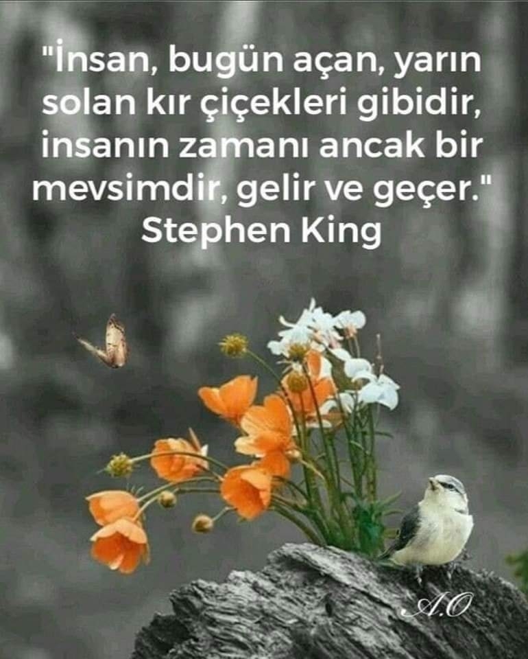 Sinan