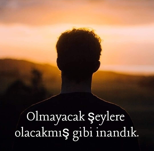Ulvi