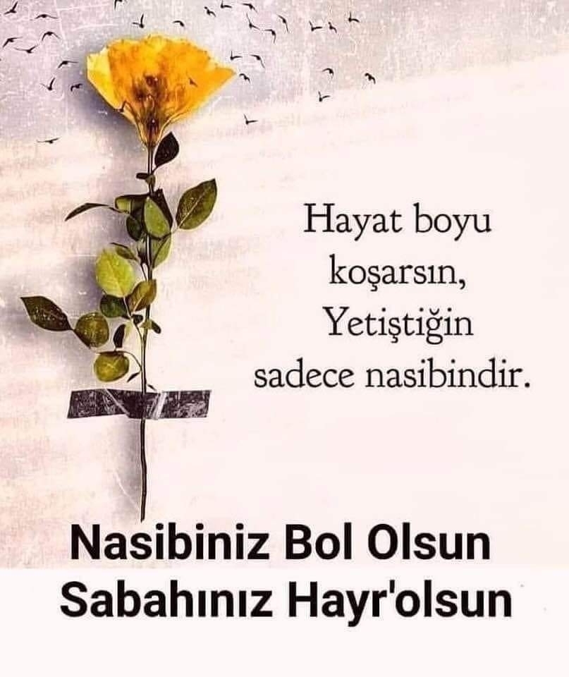 Bedriye