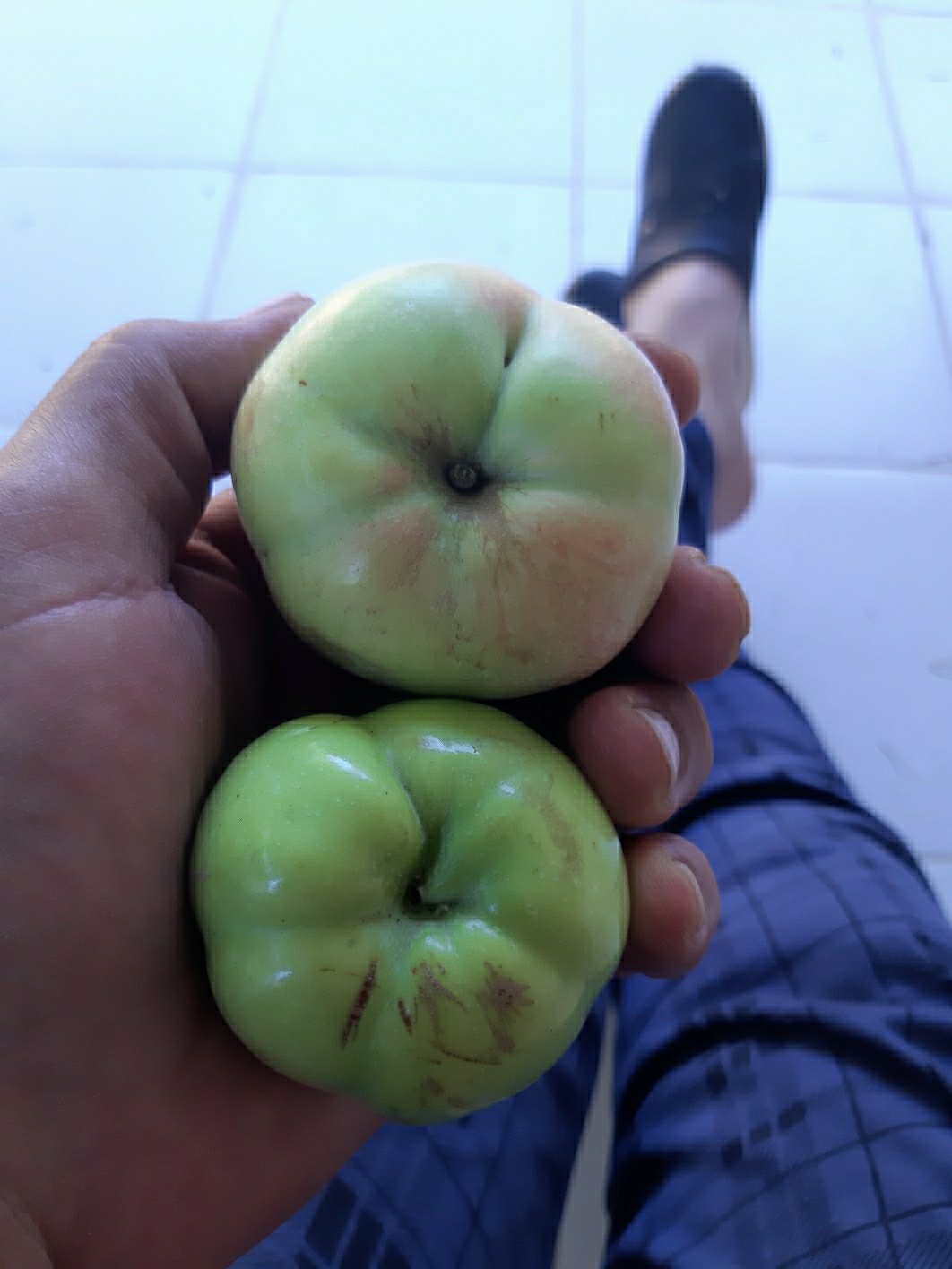 Süleyman