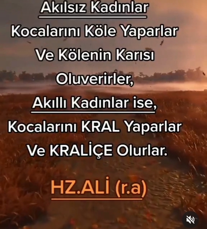 Alp