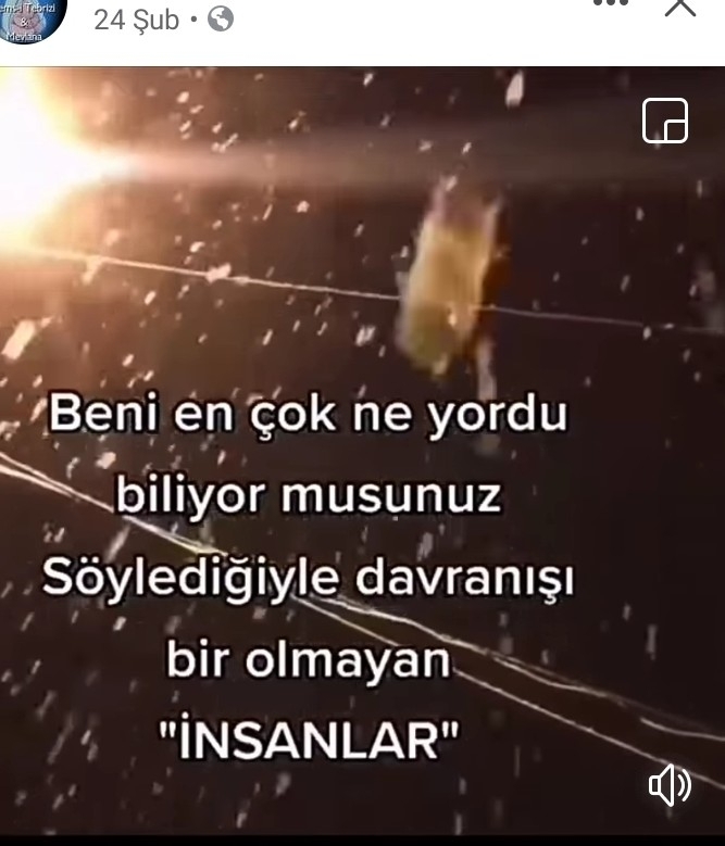 Nilay