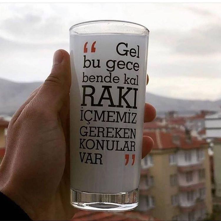 Soner