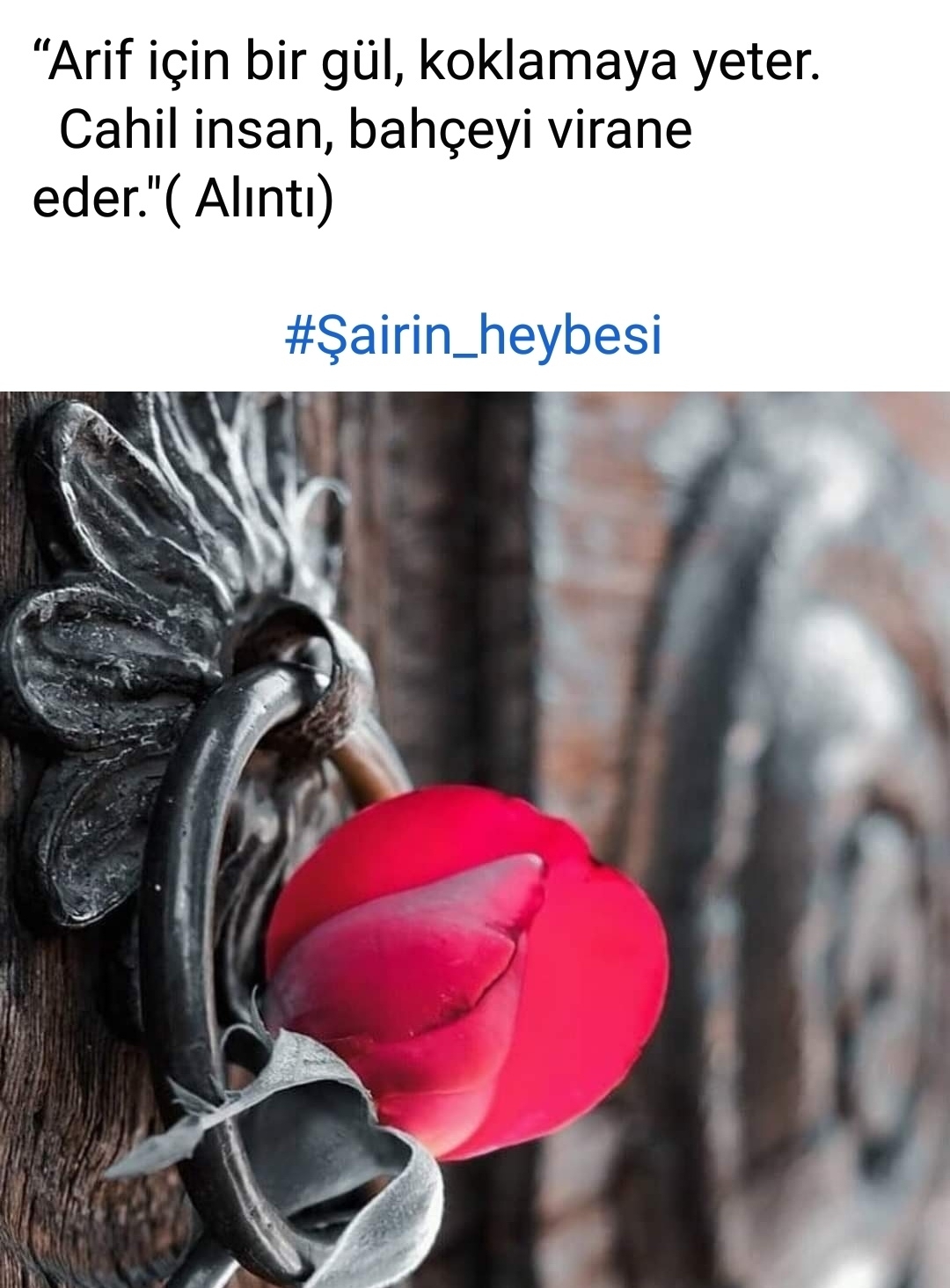 Seval