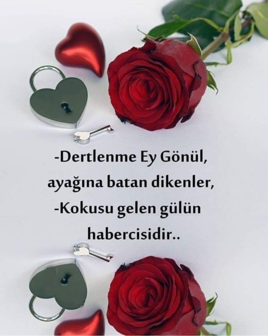 Seval