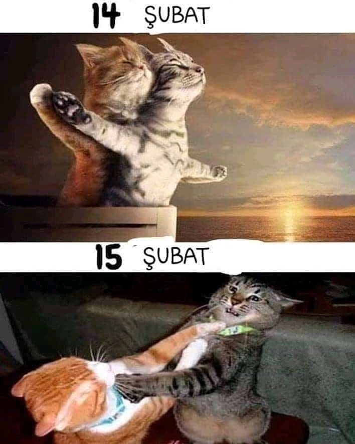 Sinan
