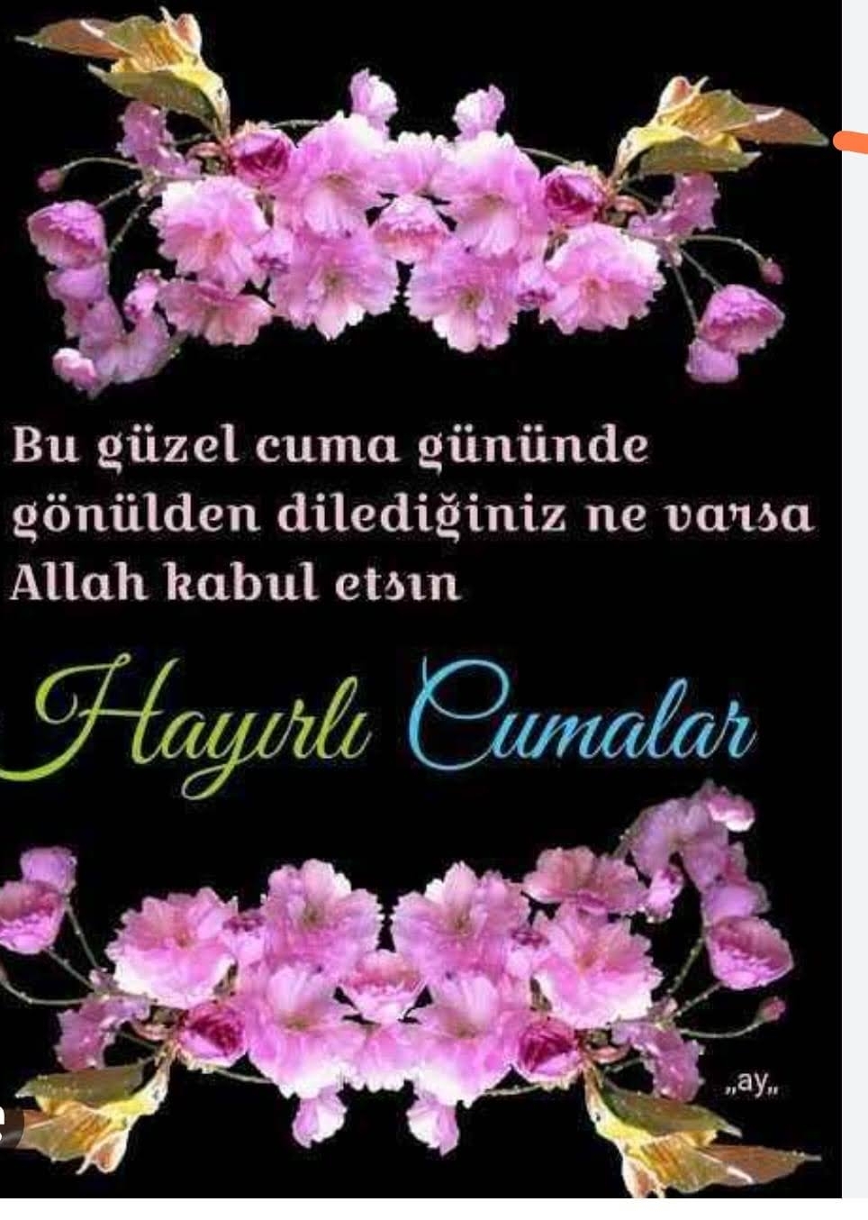 FİLİZ