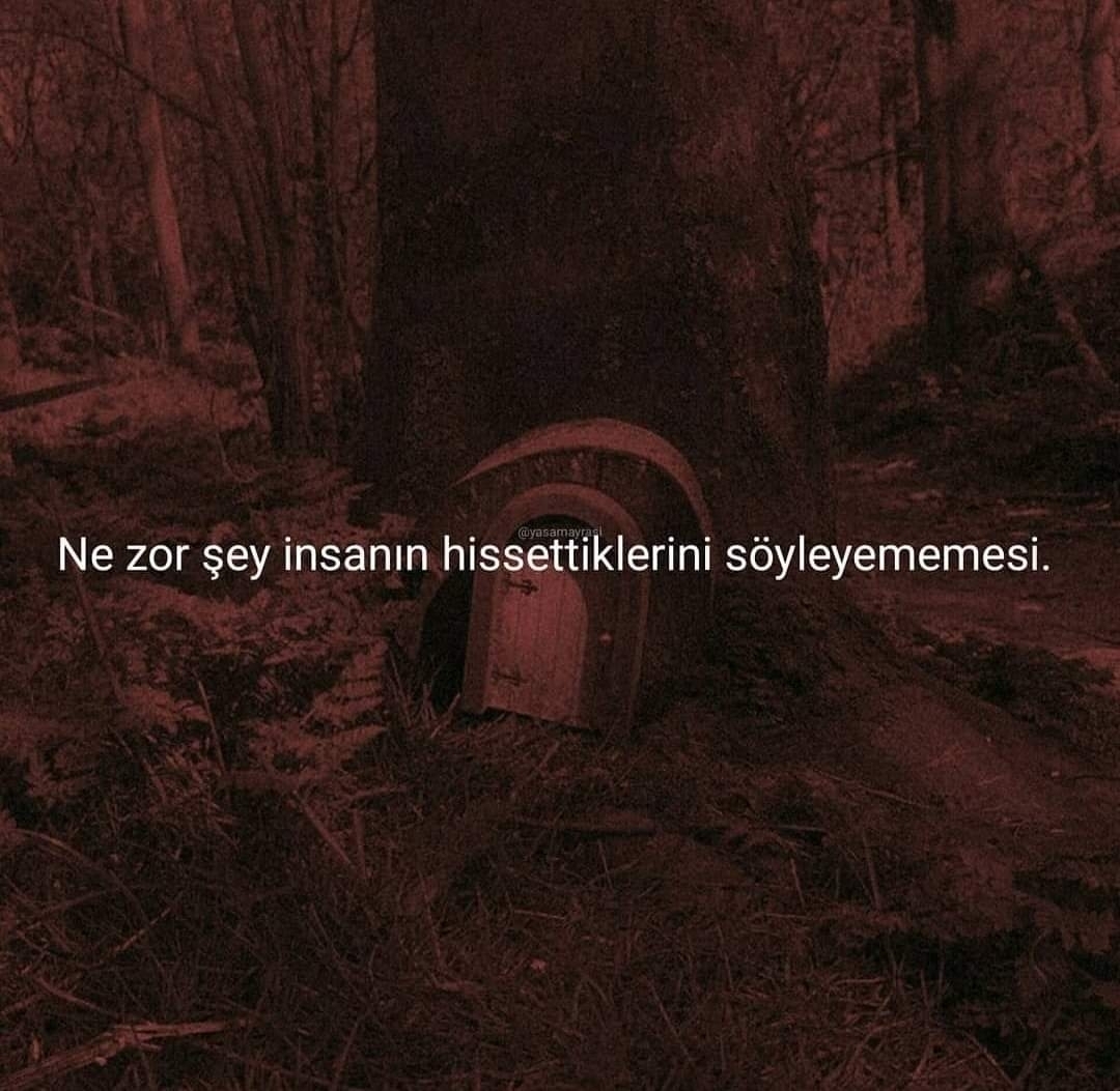 Ulvi