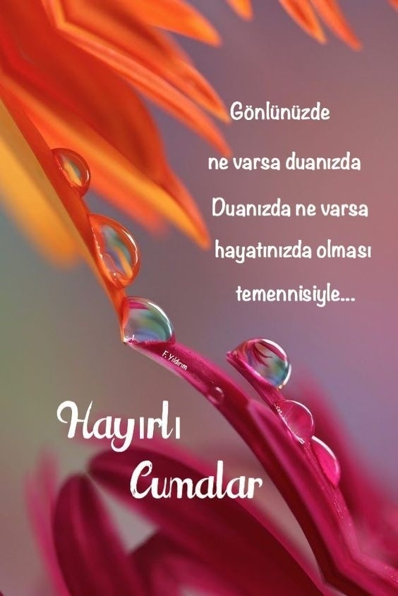 Osman