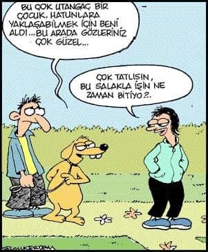 Serdar