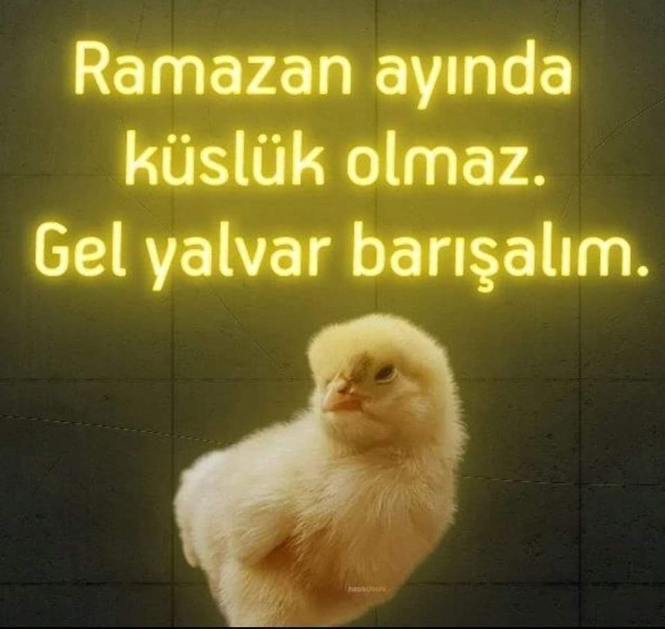 Deniz