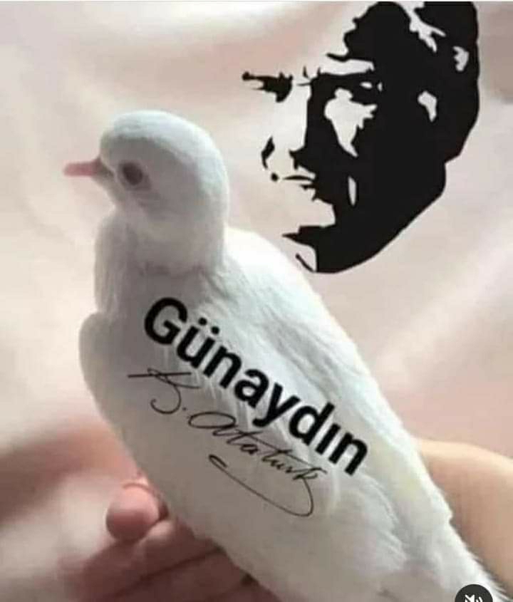 Melek