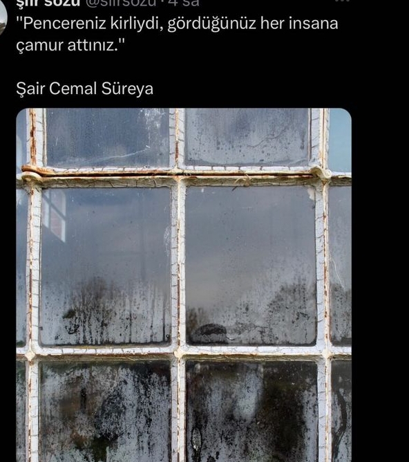 Duygu