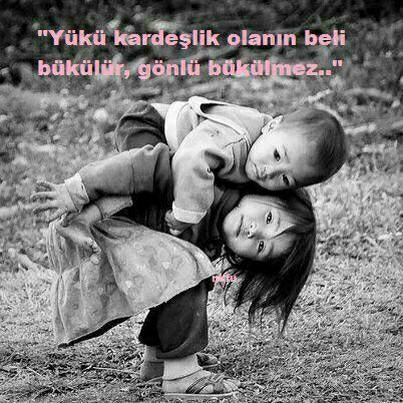 Mahmut
