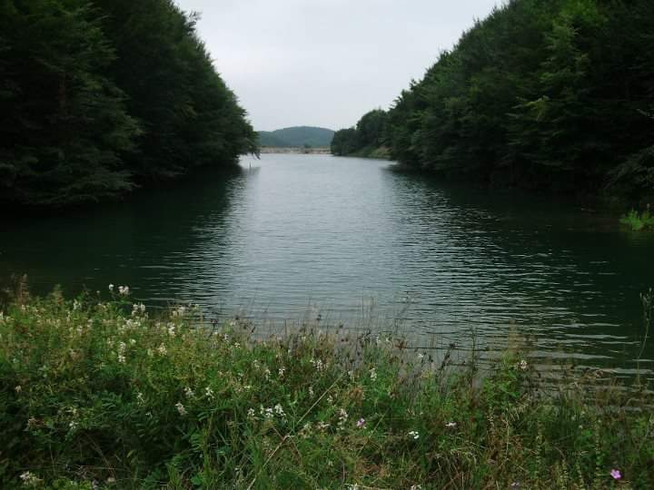 Serkan