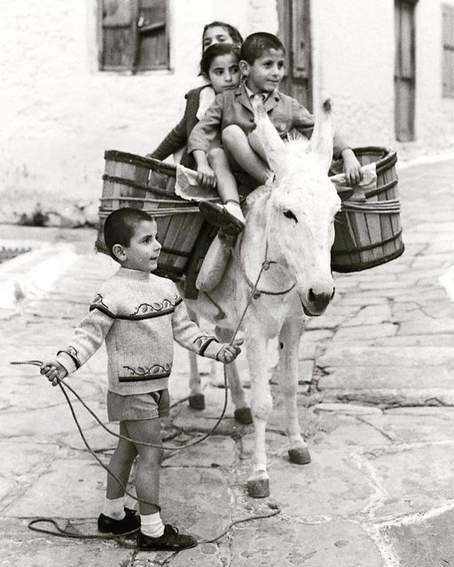 Yavuz