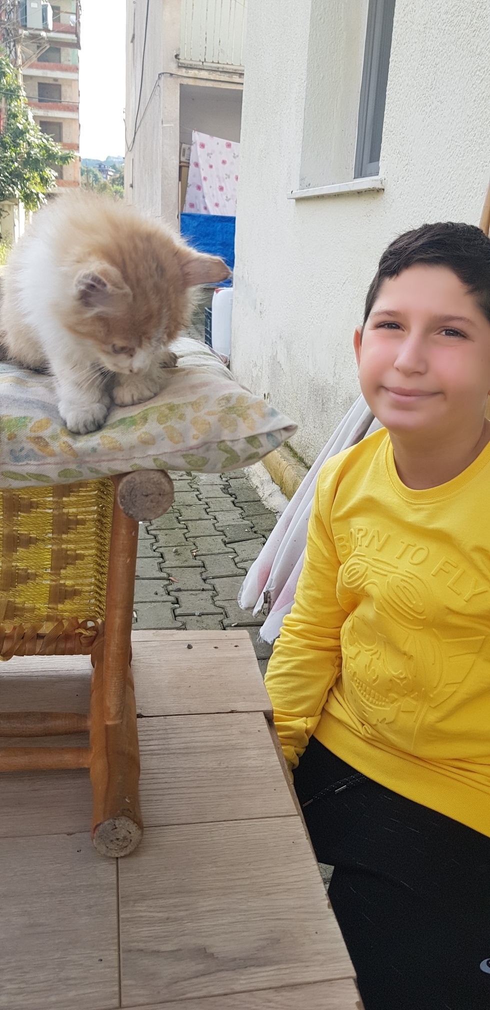 Serdar