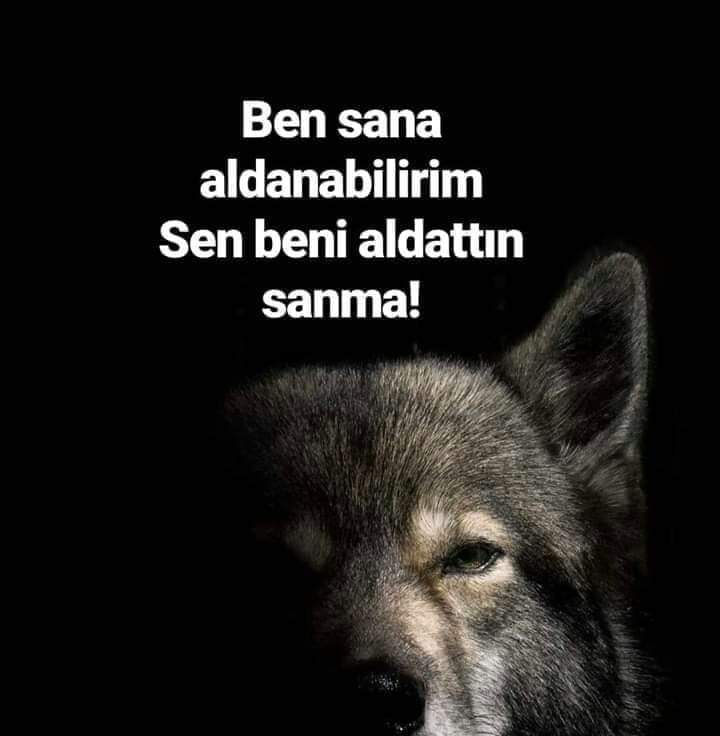 ÜLkü