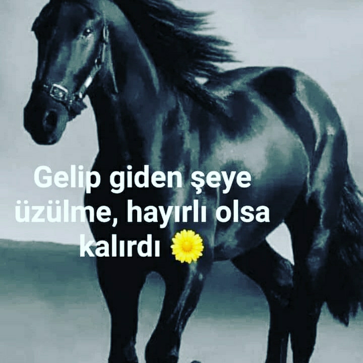 Melek