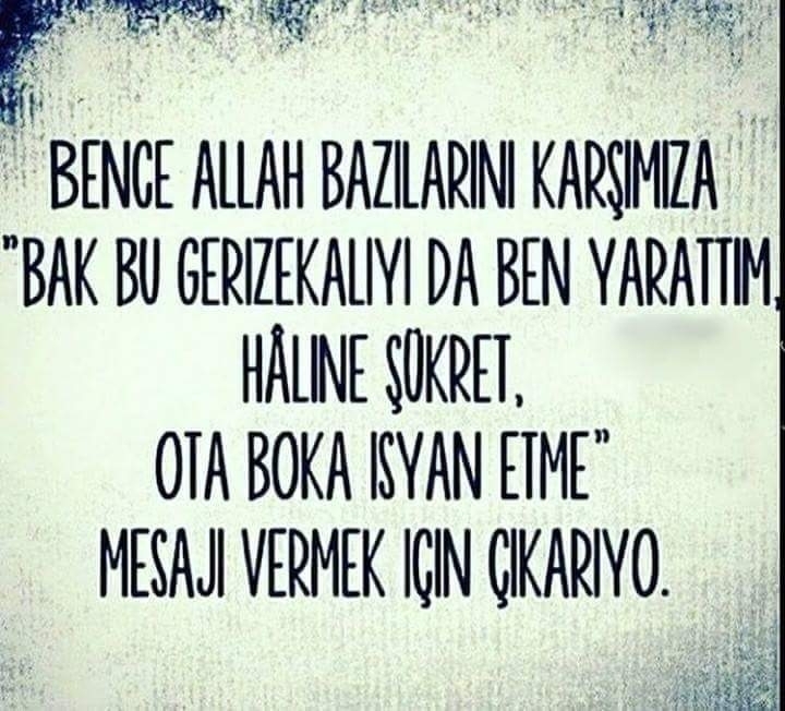 Meryem
