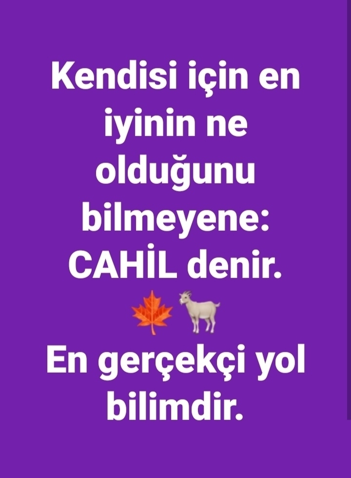 Yavuz