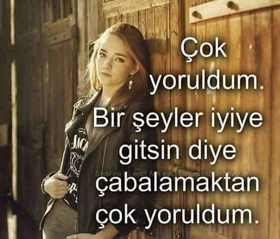Melek