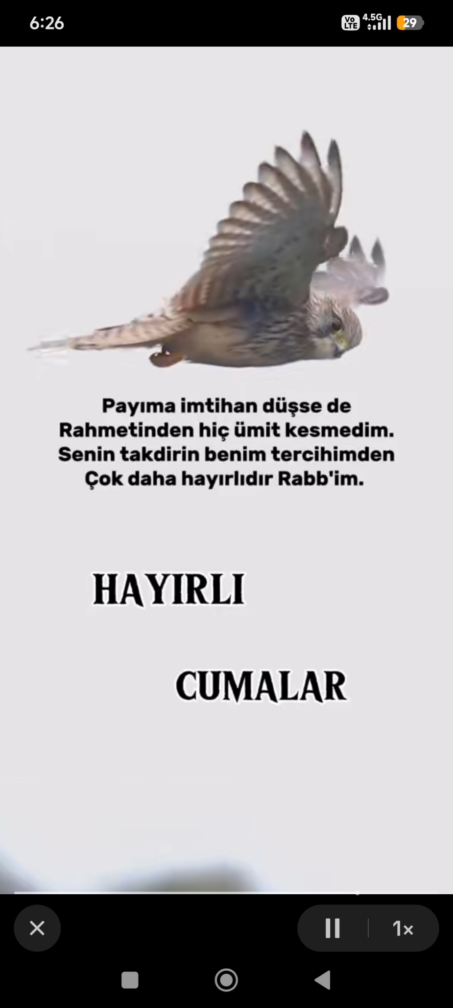 Selahattin