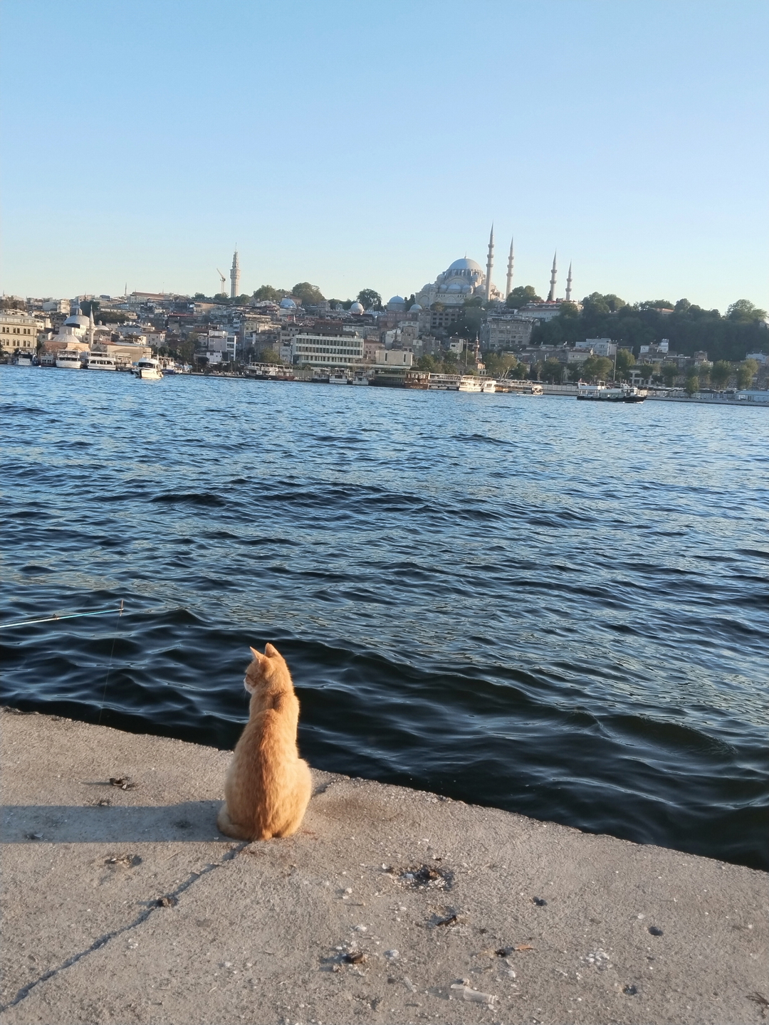 Yildiz