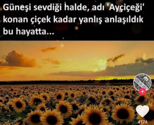 Canan