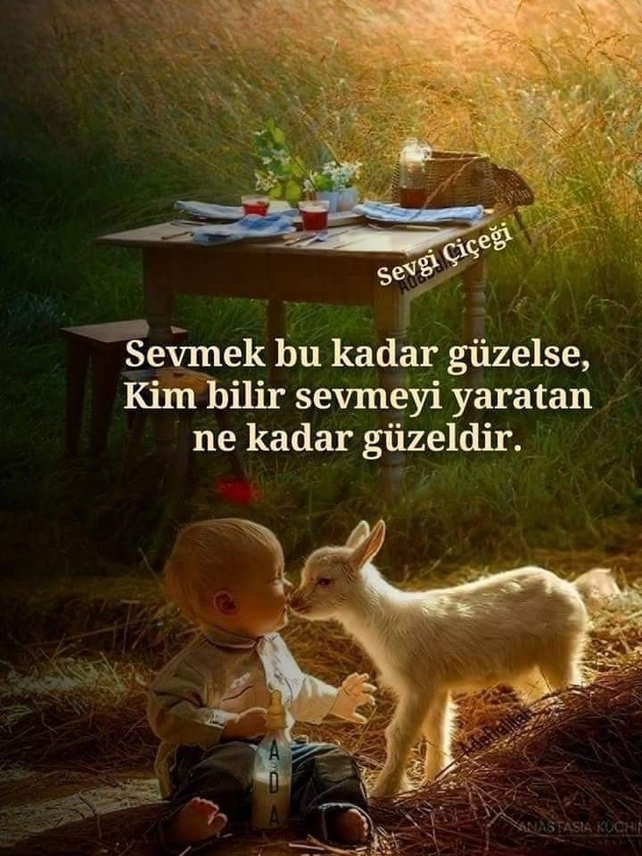 Serdar