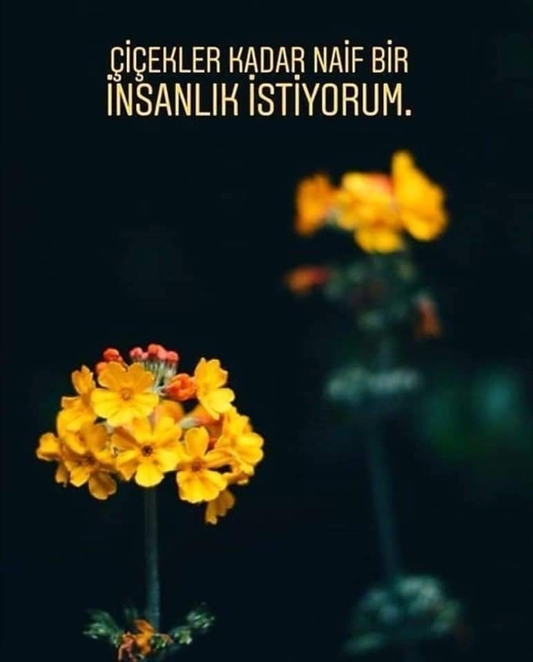 Şükrü