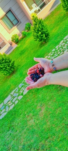 Fahriye