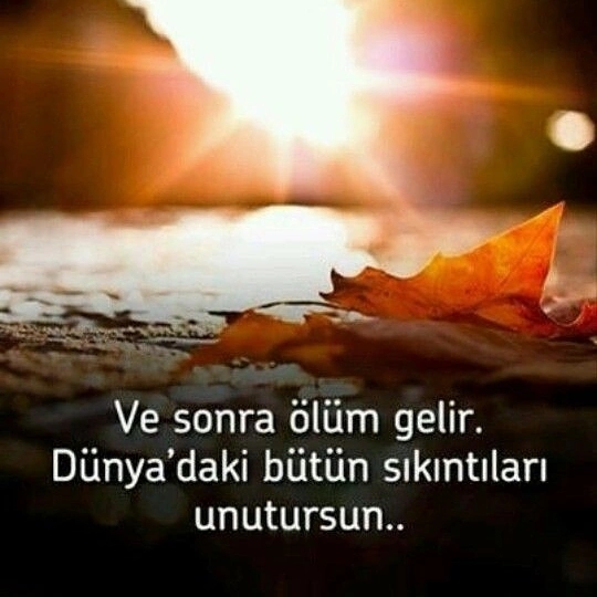 Mahmut