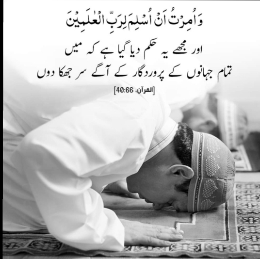 Amna