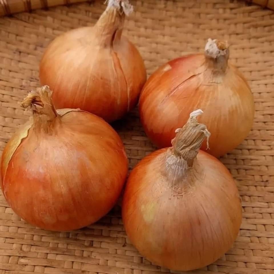 Uğur