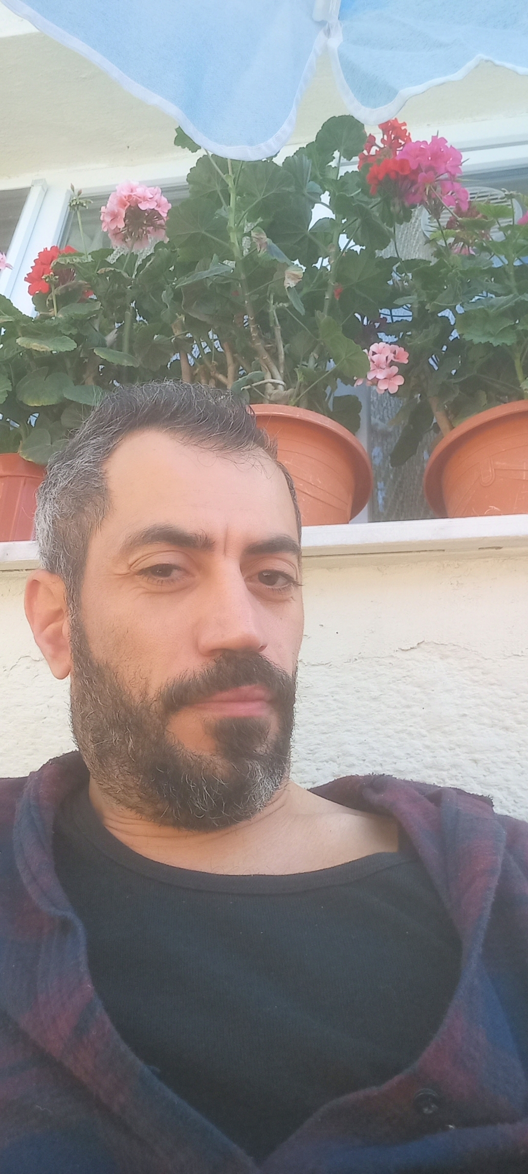 Serdar