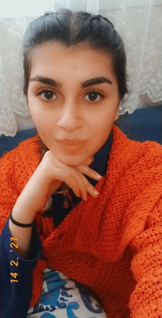 İlke