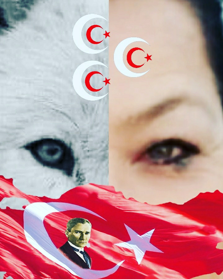 Aysun