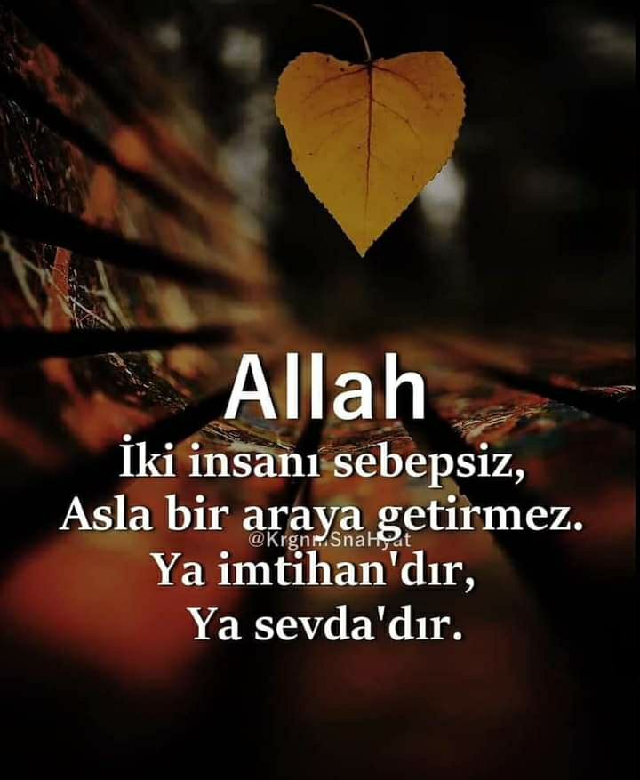Melek