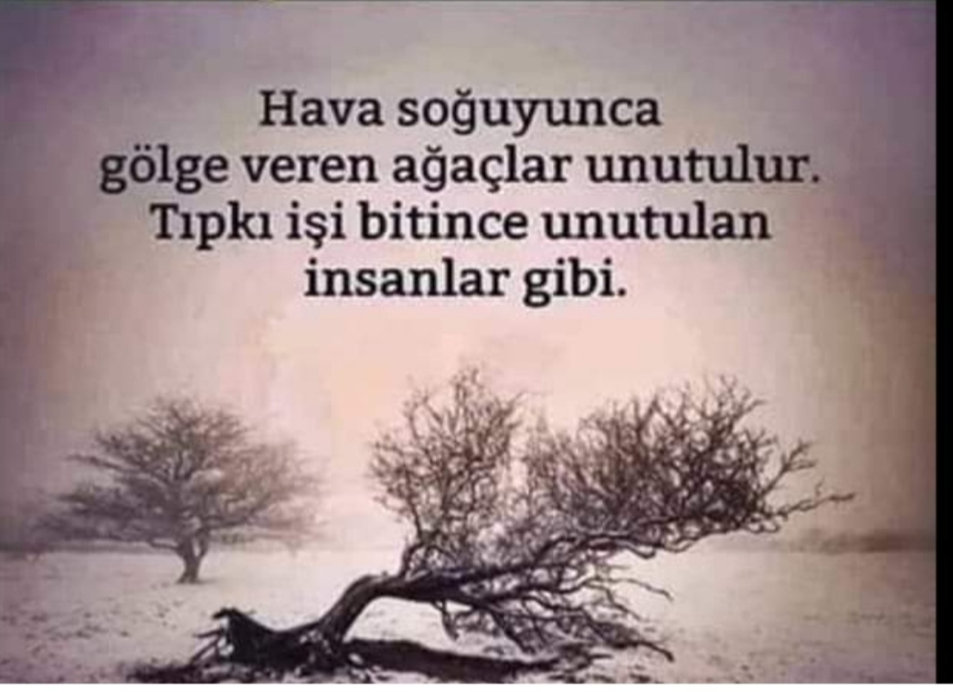 Bekir
