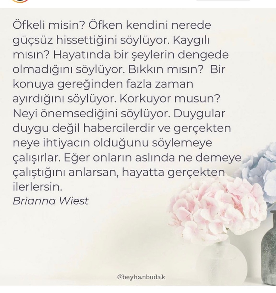 T C Yıldız
